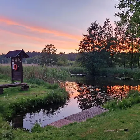 Pension Wiesenhof B&B-2